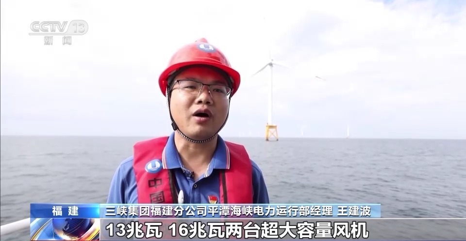 担保菠菜导航